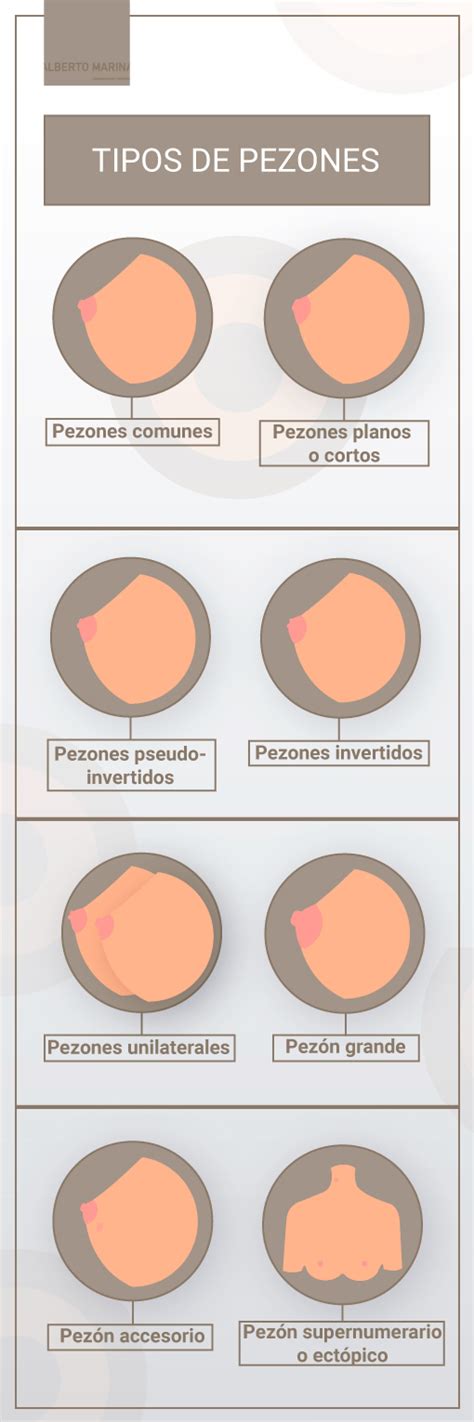 Pechos: Variedades en su forma y tipos de pezón